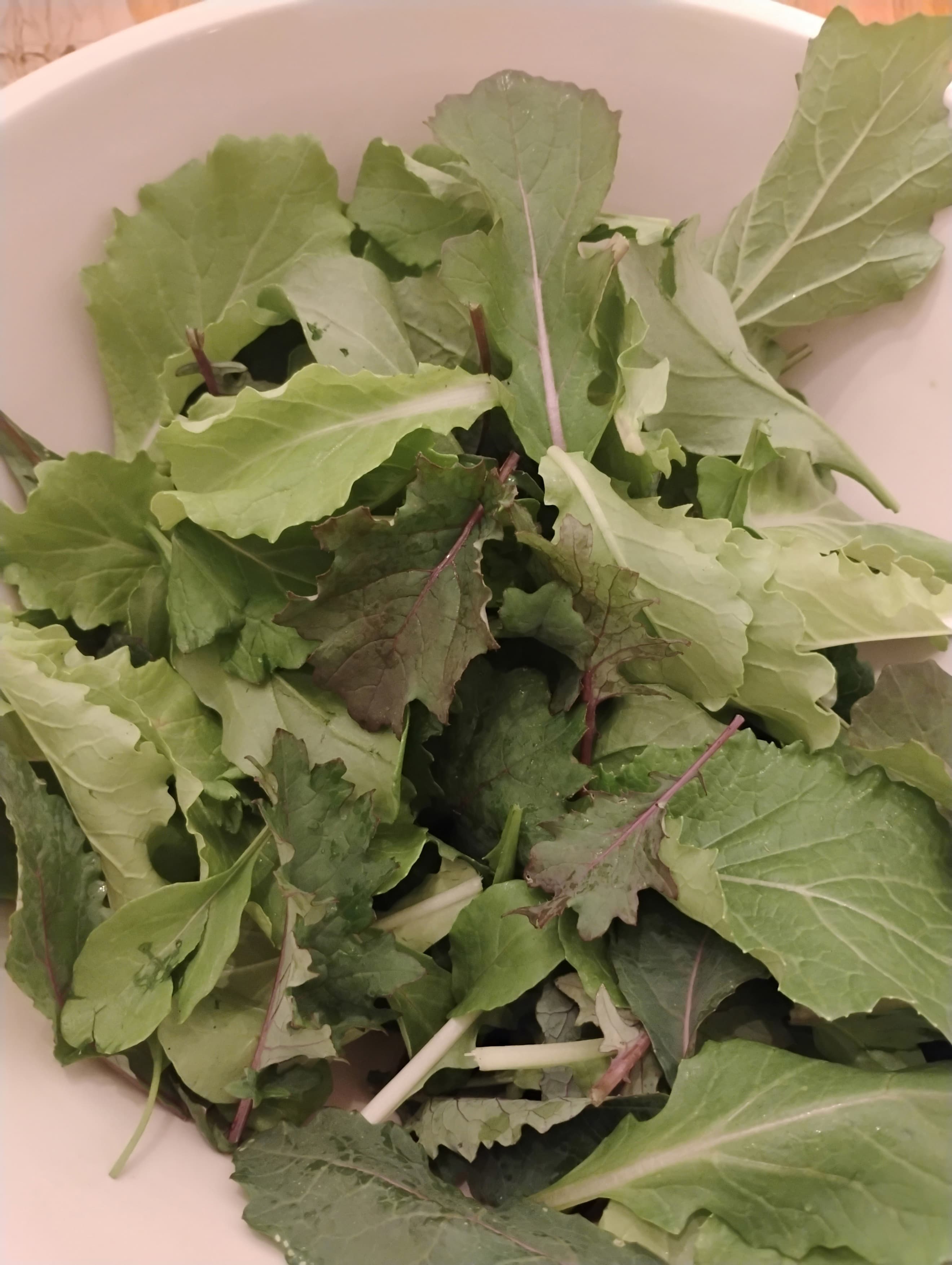 Mesclun Mix